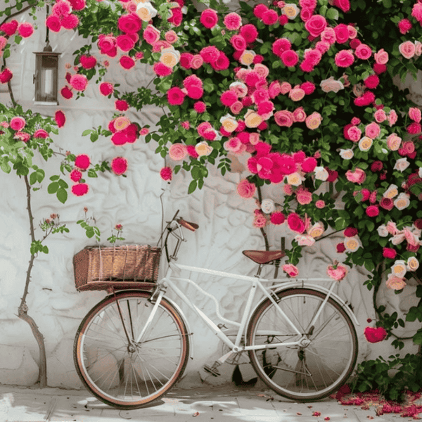 🌹 Mixed-color Climbing Rose—Year-Round Blooming Flower Seeds (UK Imported)