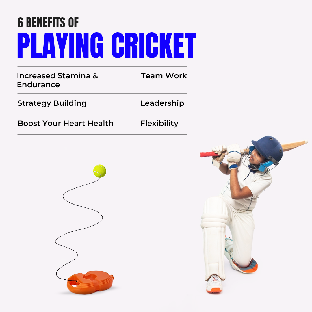 Cricket Trainer Rebound Ball || Self Cricket Practice Training Tool for Adults & Kids