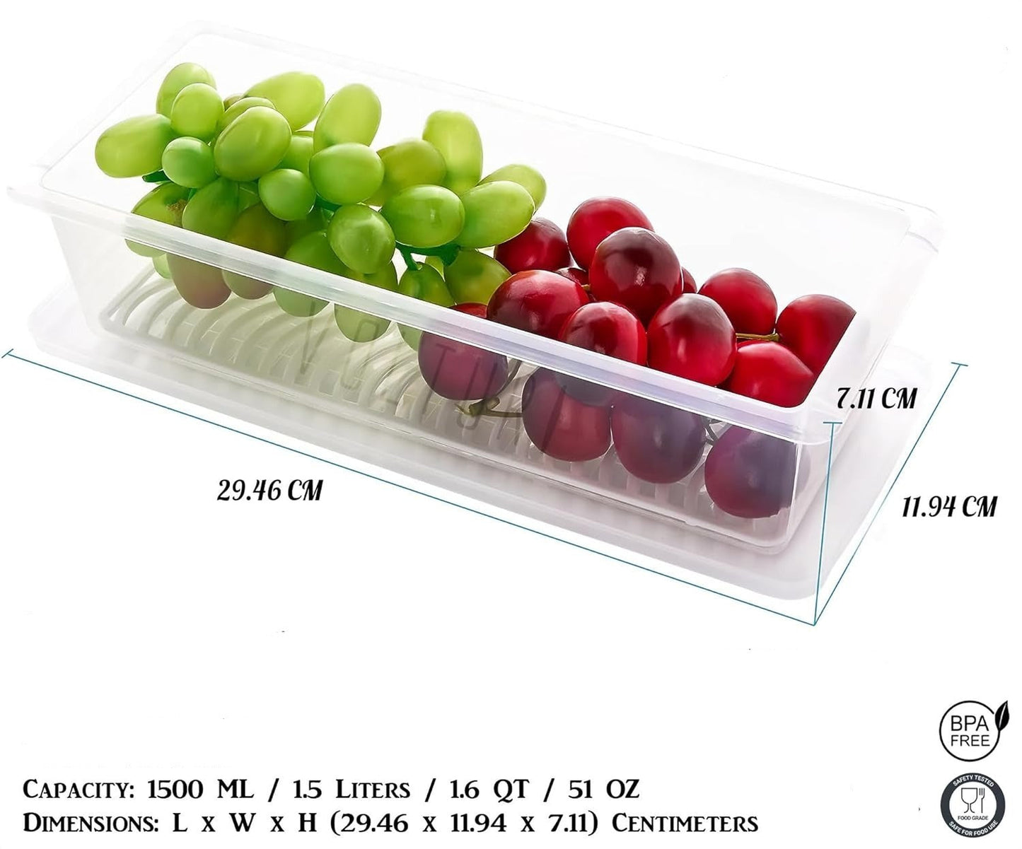 Fabby™ Food Storage Container (Pack of 2)