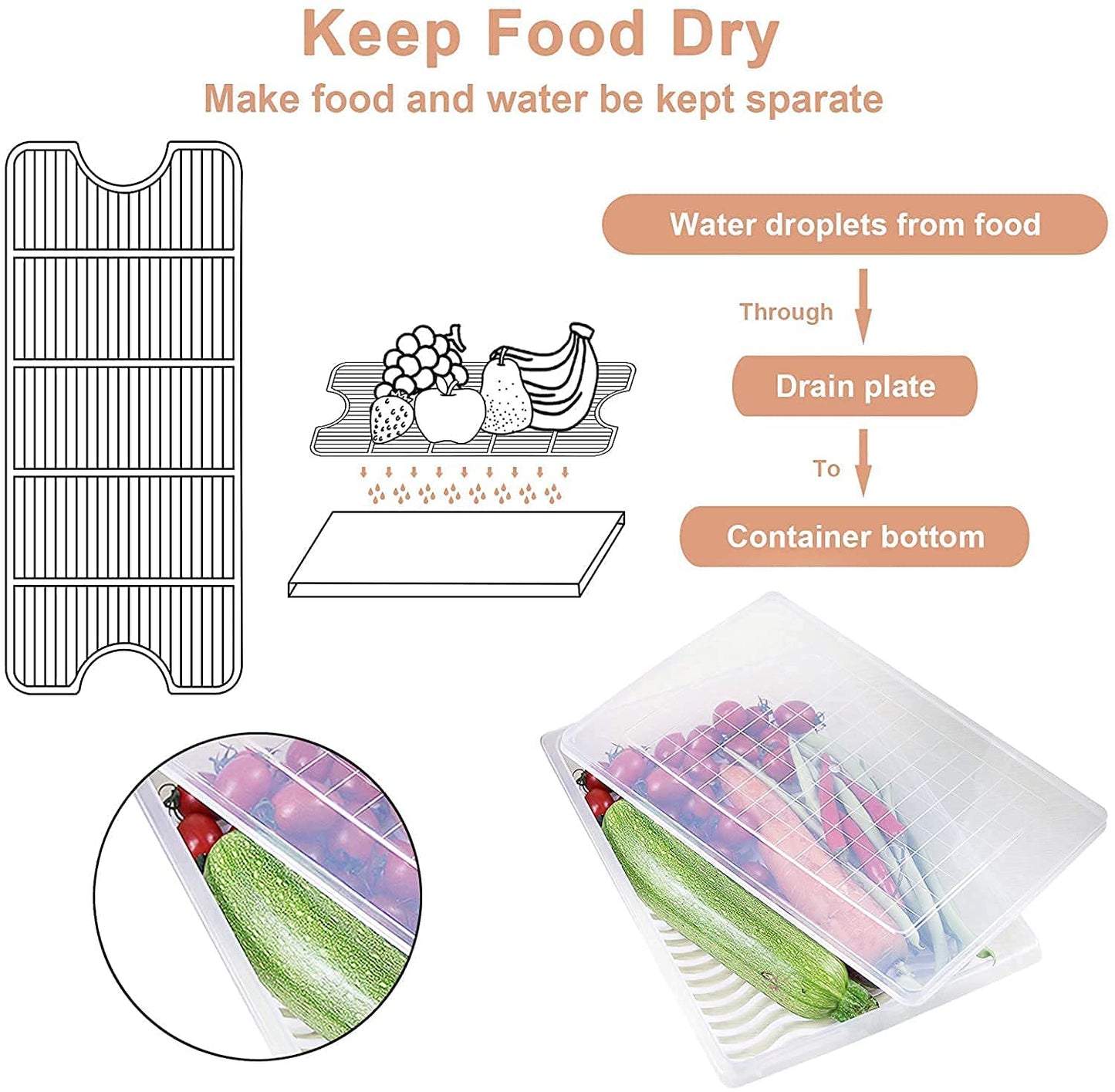 Fabby™ Food Storage Container (Pack of 2)