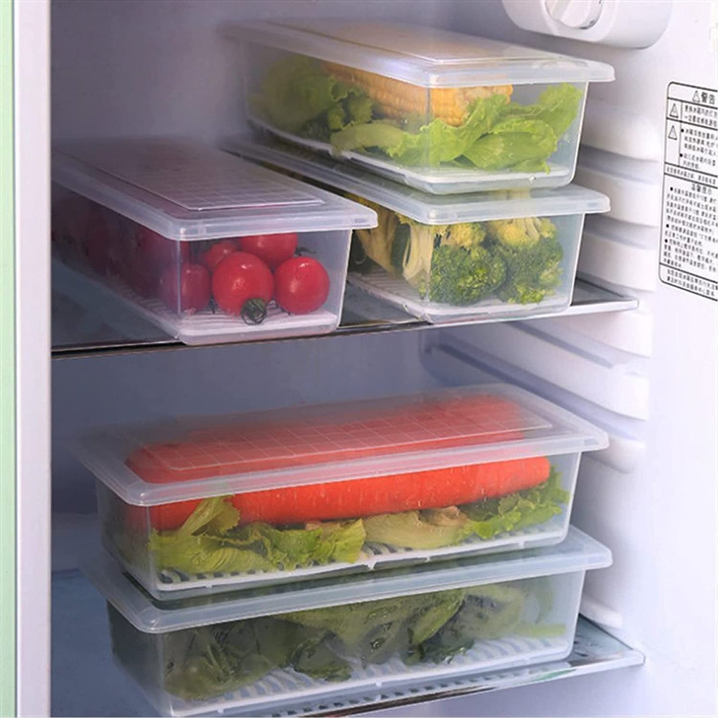 Fabby™ Food Storage Container (Pack of 2)