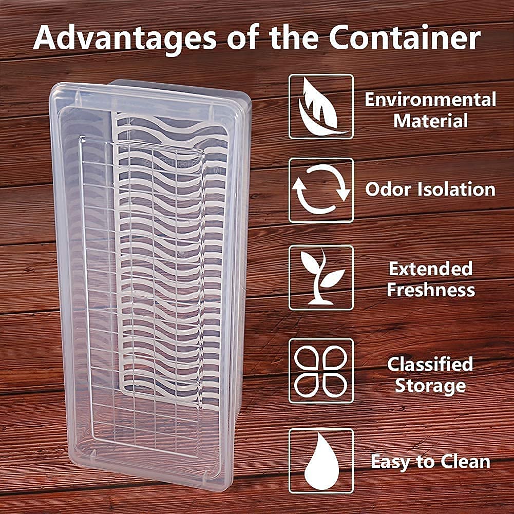 Fabby™ Food Storage Container (Pack of 2)