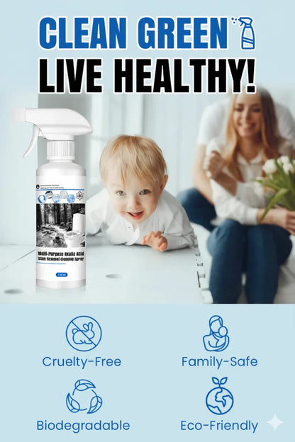 Multi-Purpose Stain Remover Spray with Oxalic Acid | 300ML, Limited Time: Buy 1 Get 1 Free