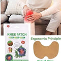 Herbal Knee Patch for Joint Ache Pain Pack of 1 (10pc)