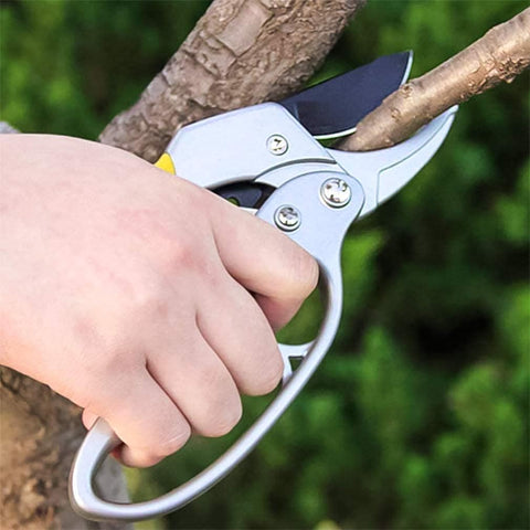 Professional Gardening Scissors for Tree Trimming & Plant Snipping