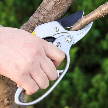 Professional Gardening Scissors for Tree Trimming & Plant Snipping
