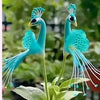 Vibrant Peacock Flower Seeds Pack of 1