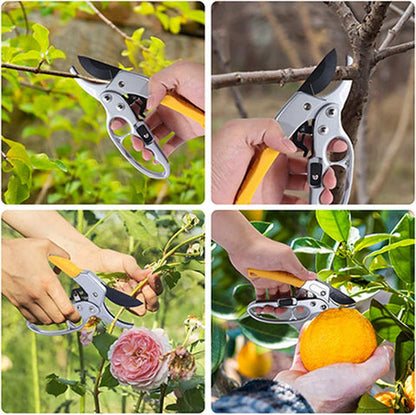 Professional Gardening Scissors for Tree Trimming & Plant Snipping