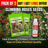 Elegant Climbing Rose Flower Seeds - BUY 1 PACK, GET 1 PACK FREE!