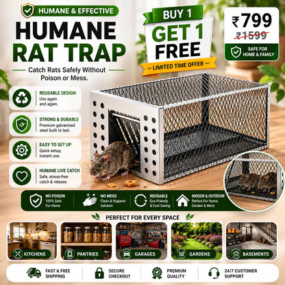 Humane Live Catch & Release Mouse Trap - Buy 1 Get 1 Free