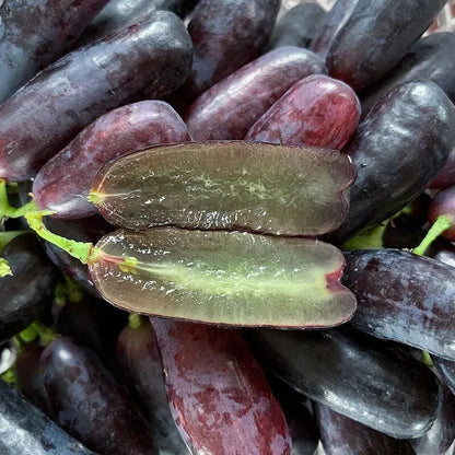 [SEEDS ONLY] Premium Sweet Sapphire Seedless Grape Seeds – Hybrid Black Sharad Vine for Garden & Balcony