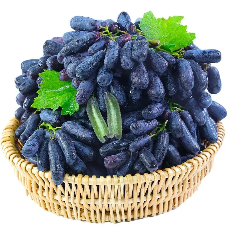 [SEEDS ONLY] Premium Sweet Sapphire Seedless Grape Seeds – Hybrid Black Sharad Vine for Garden & Balcony