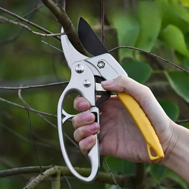 Professional Gardening Scissors for Tree Trimming & Plant Snipping
